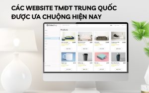 website tmđt trung quốc