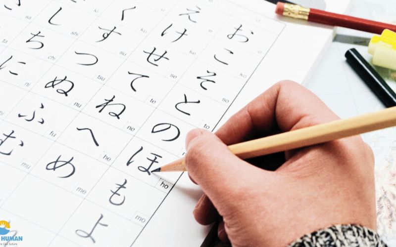 luyện kỹ năng làm bài